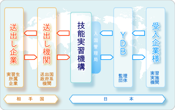【団体監理型の受入れ相関図】技能実習生>母国>送出し企業>送出し機関>>入管<<受入れ機関(監理団体)<日本<受入れ企業(実習実施機関)